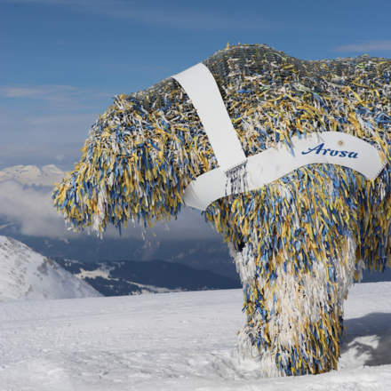 Arosa-Bäre-Weisshorn | © Sophie Körner